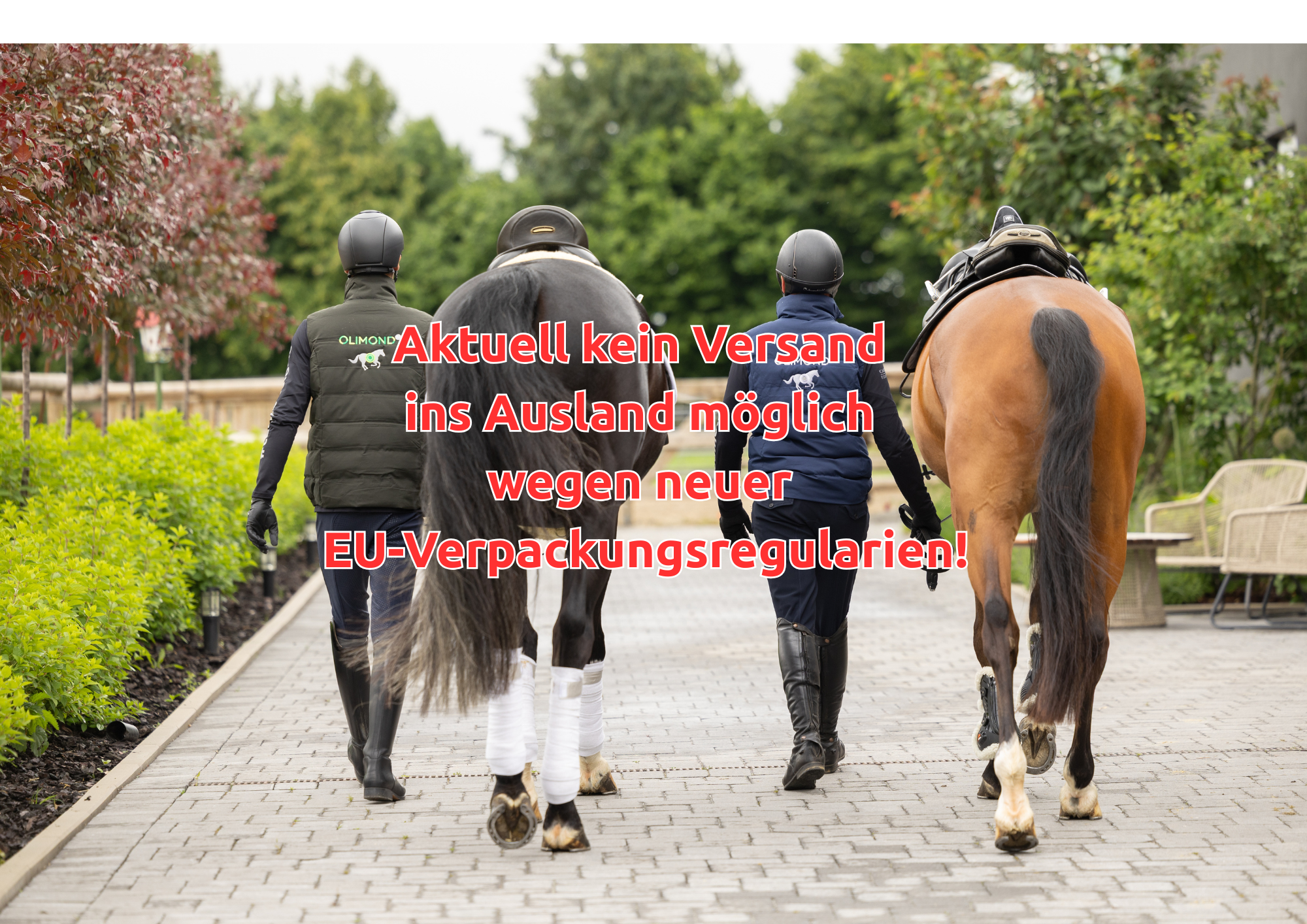 Akutell kein Versand ins Ausland mglich wegen neuen EU-Verpackungsregularien!(3)